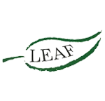 Inicio - Amarillo Corn Inicio - Amarillo Corn